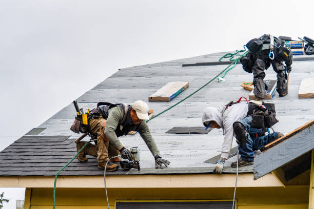Professional Storm Damage Roof Repair technician working in Bridgeport, MI
